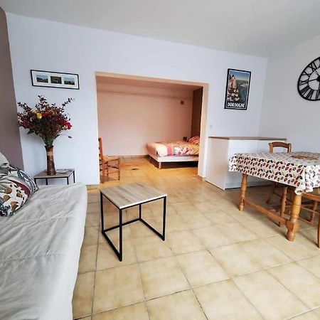 Studio Au Pied Du Chateau De Castelnaud Eksteriør bilde